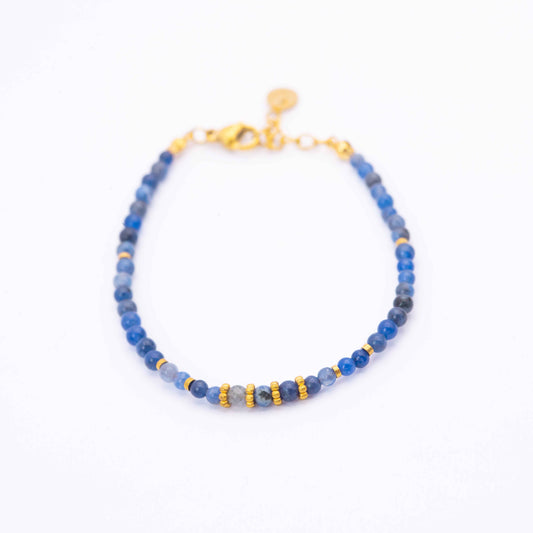 BLEUET